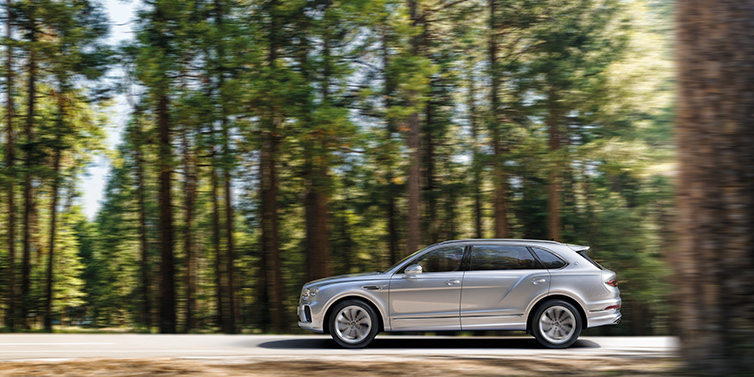 Bentley Leeds Bentley Bentayga Extended Wheelbase SUV in Moonbeam paint driving dynamically on a forest road